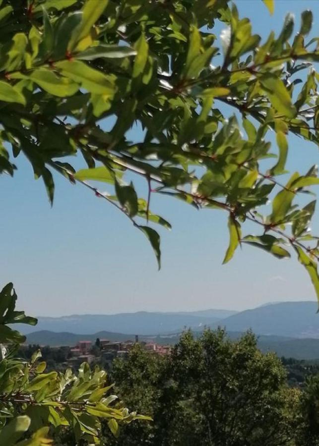 Beautiful apartment with exclusive garden&terrace Monteverdi Marittimo Extérieur photo
